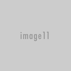 img11