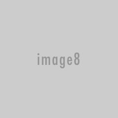 img08